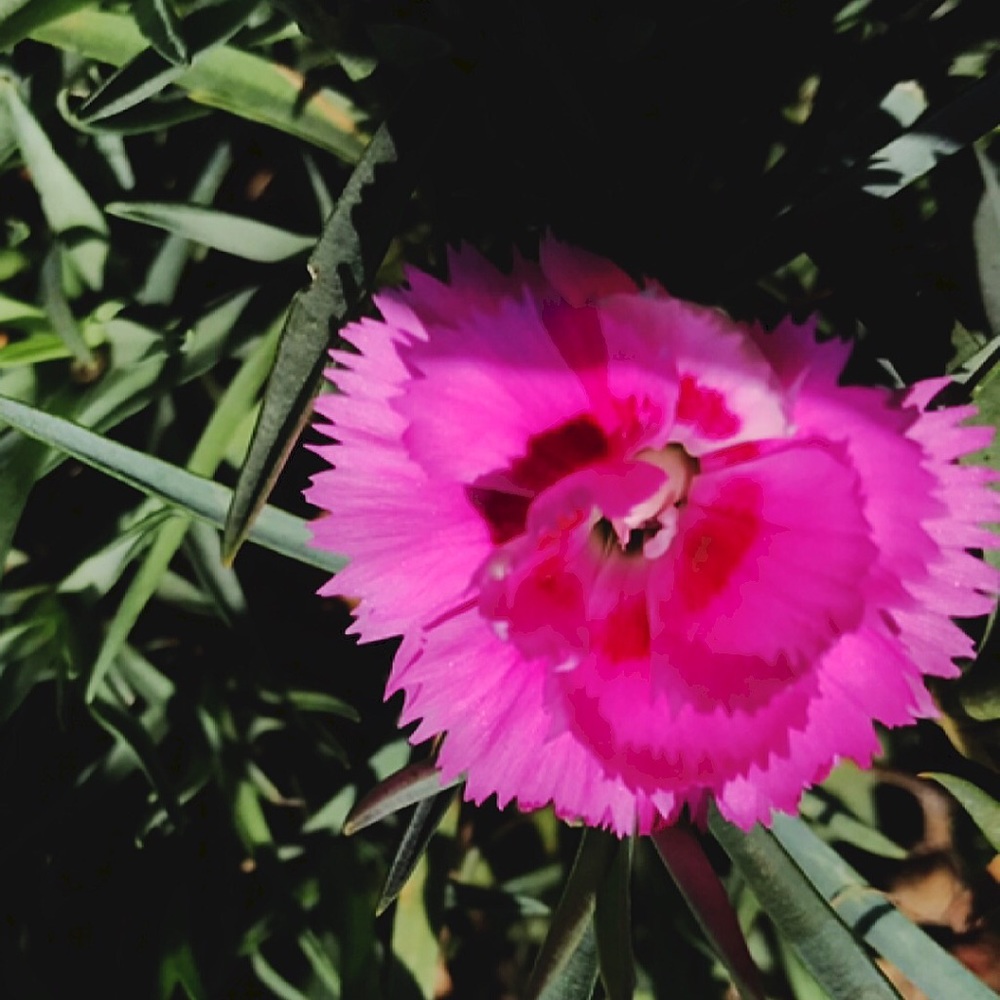 Meet your Posher, Tori